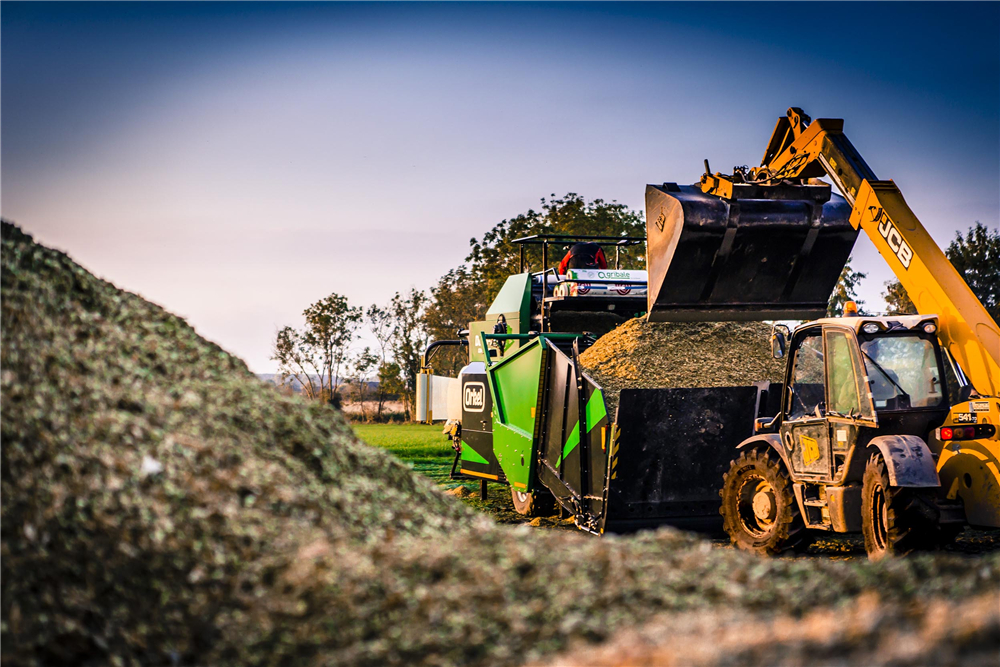 Dens_2_(1R7A0301-komp).jpg Dens_2_(1R7A0301-komp).jpg